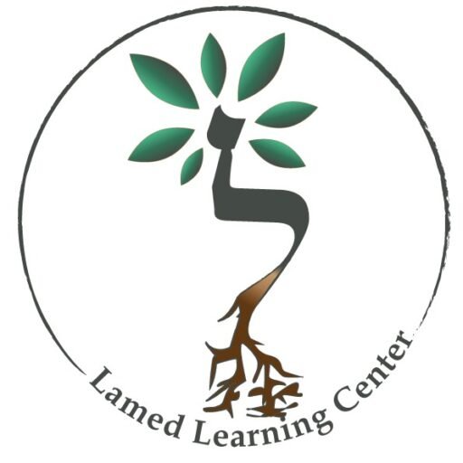 lamedlearning.com